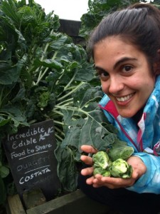 Verduras al alcance de la mano en las calles de Todmorden.