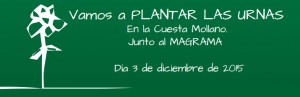 plantar2