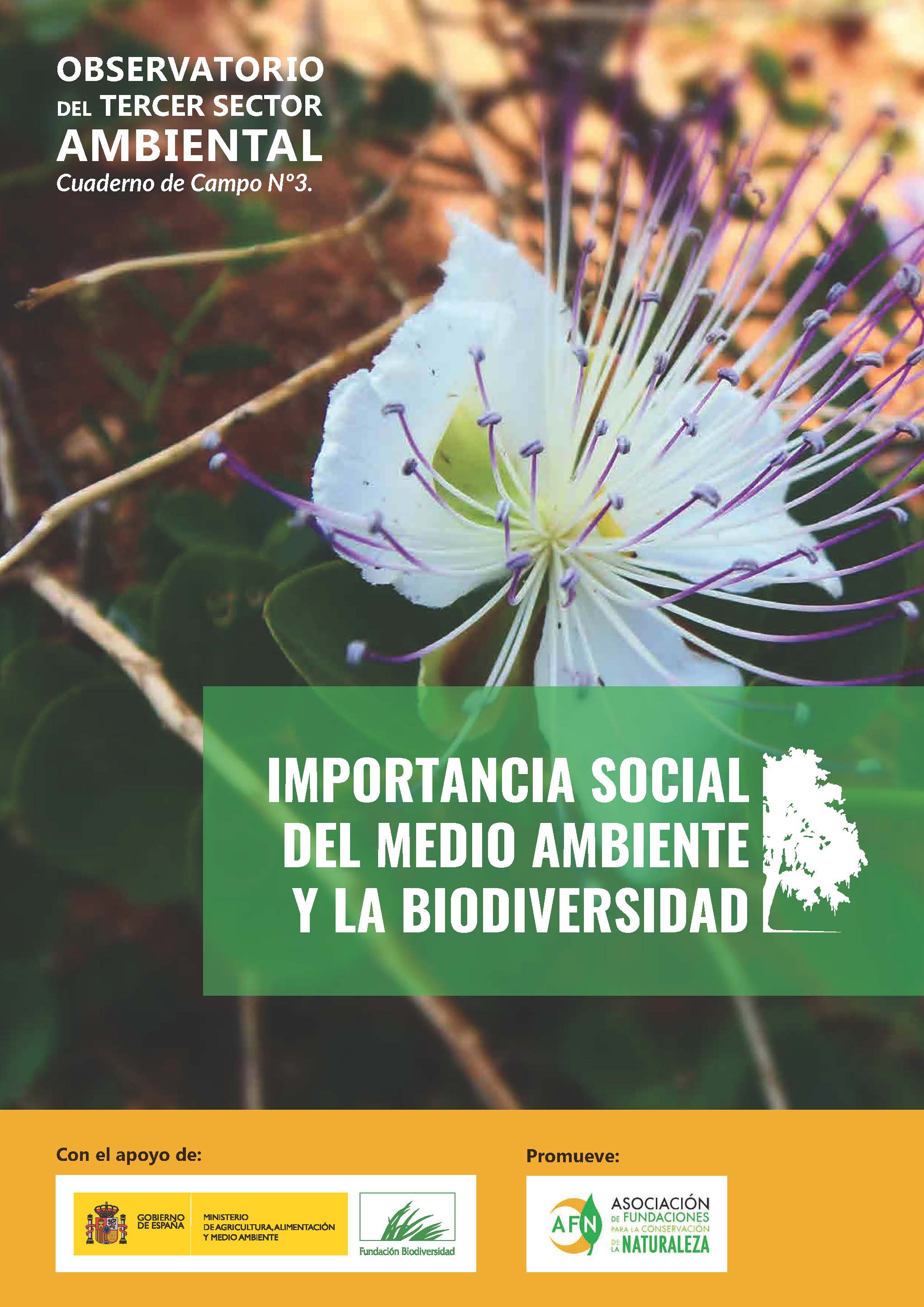 3_Informe_TercerSector_ImportanciaSocial