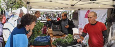 Ciudades agroecologia_03