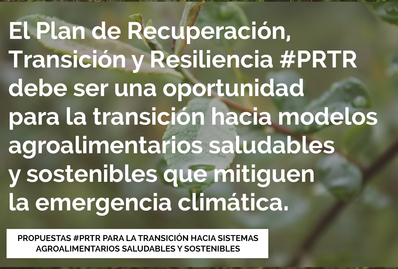 Propuestas PRTR para la transición hacia sistemas agroalimentarios saludables y sostenibles