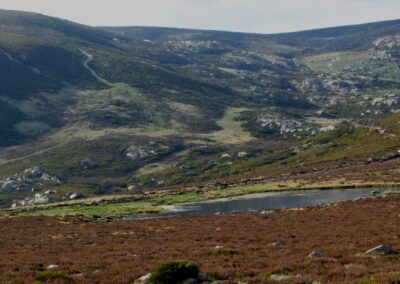 Iniciativa de mediación local: coexistencia del lobo y la ganadería extensiva en Sanabria