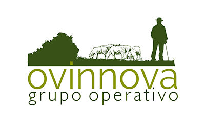 Grupo Operativo Ovinnova