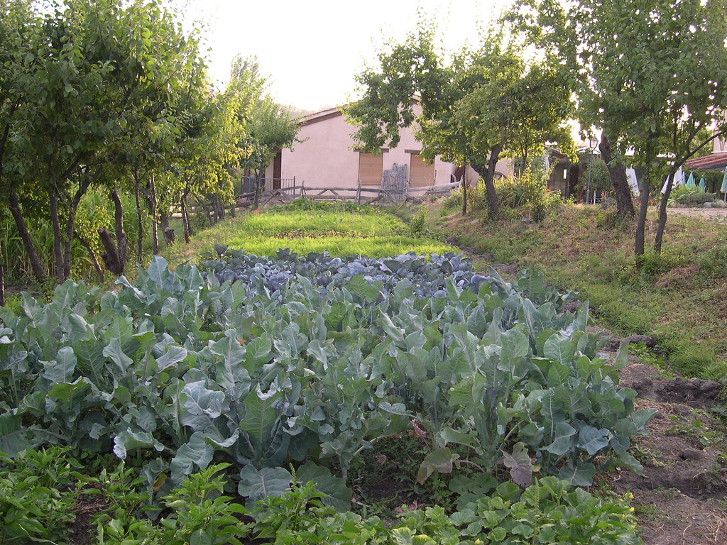 Nos hacemos eco de un interesante TFM: SATs. Identificación de 18 iniciativas locales para una alimentación sustentable en la provincia de León