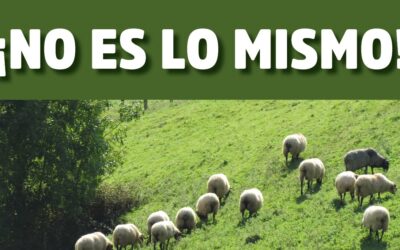 Diferenciación de la ganadería extensiva