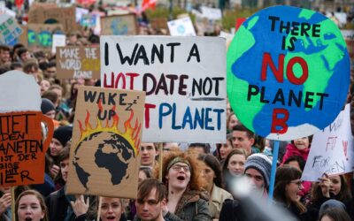¿Por qué se ataca al ecologismo?