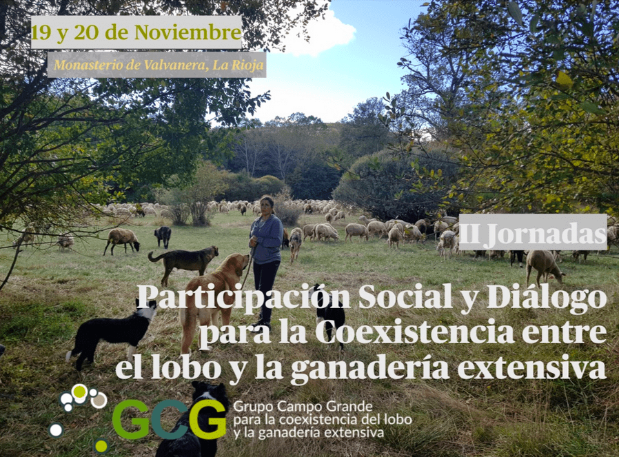 La participación social y el diálogo avanzan en los territorios para garantizar la coexistencia entre el lobo y la ganadería extensiva