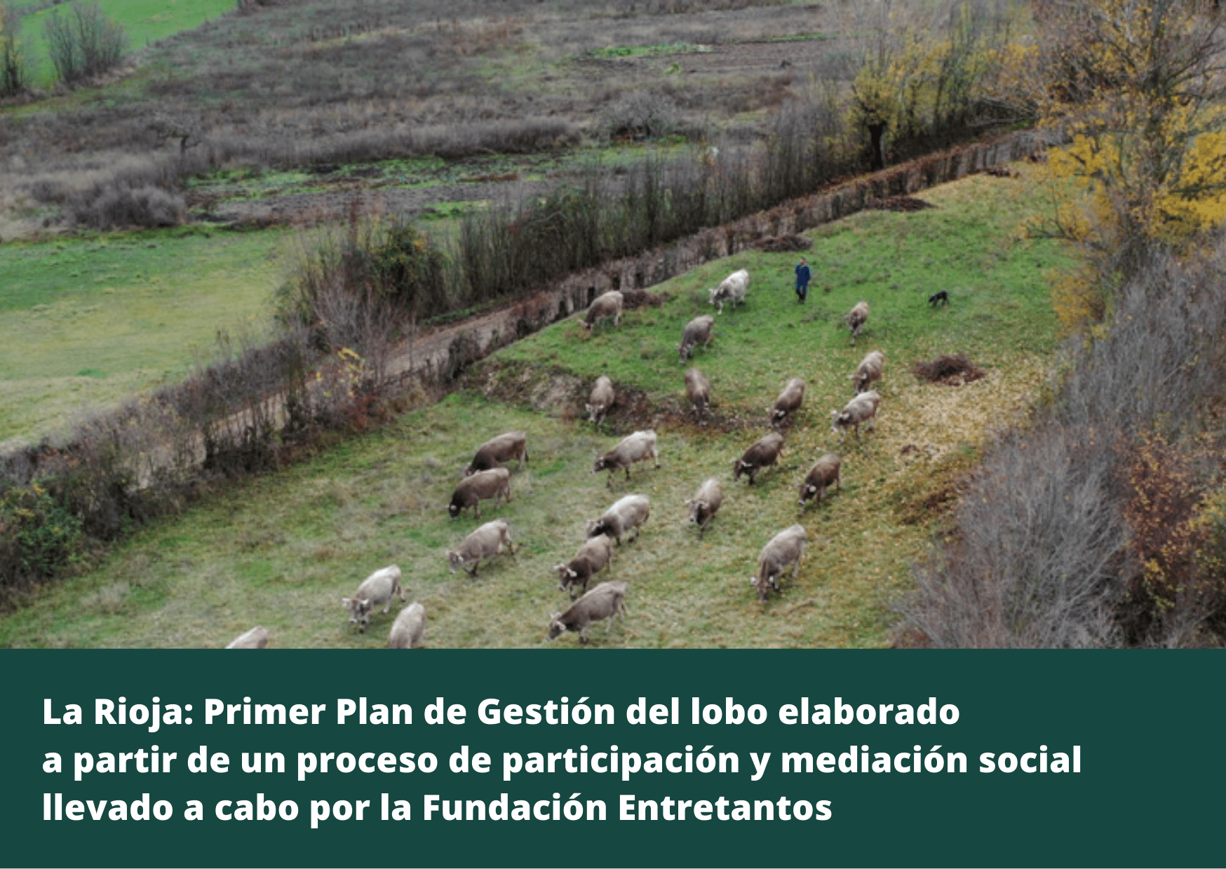 La Rioja: Primer Plan de Gestión del lobo elaborado a partir de un proceso de participación y mediación social llevado a cabo por la Fundación Entretantos