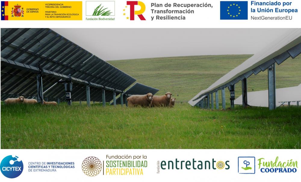 Pastoreo-FV, un proyecto para investigar el potencial uso ganadero en plantas fotovoltaicas de Extremadura