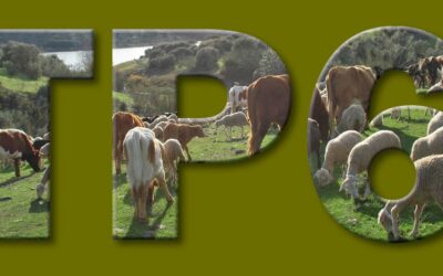 Territorios Pastoreados 6, ¡entre el 27 y 30 de septiembre en Valencia!