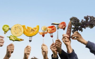 Webinario 11 junio 2024 |  Reforma de la normativa europea para la producción y comercialización de semillas. Estado de la cuestión