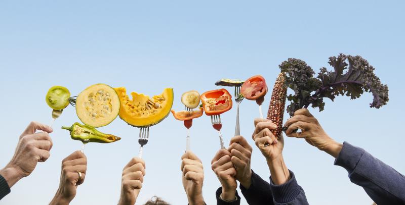 Webinario 11 junio 2024 |  Reforma de la normativa europea para la producción y comercialización de semillas. Estado de la cuestión