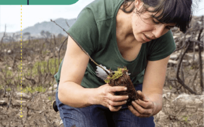 Investigación participación social_Revisando nuestra relación como especie con el medio: ¿Podemos desde las comunidades liderar la restauración ambiental de nuestros territorios?