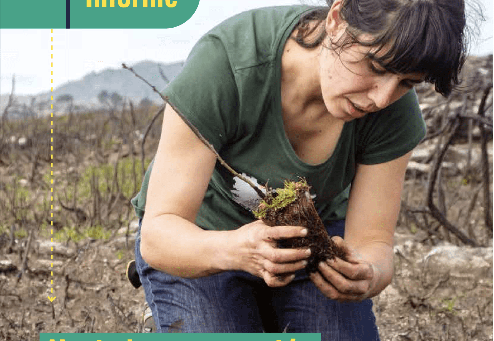 Investigación participación social_Revisando nuestra relación como especie con el medio: ¿Podemos desde las comunidades liderar la restauración ambiental de nuestros territorios?