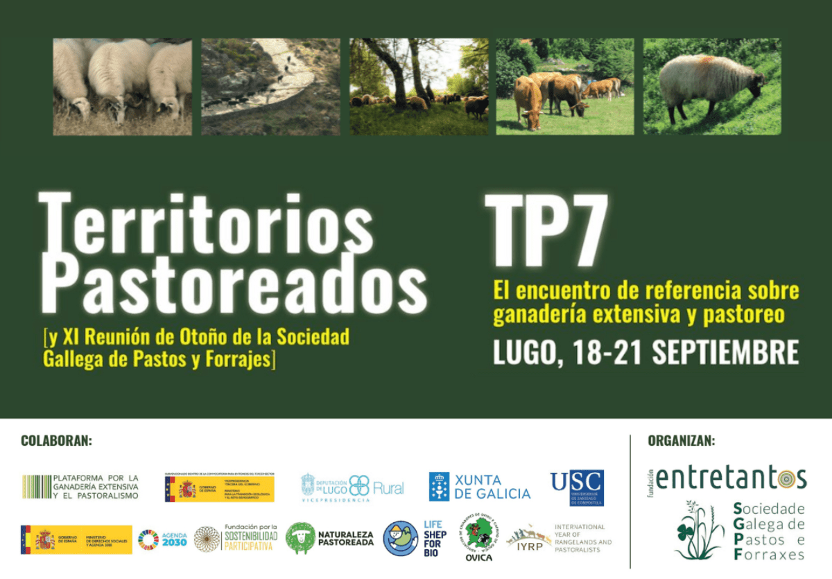 Territorios Pastoreados 7 (Lugo): programa detallado del evento estatal de ganadería extensiva y pastoreo - entretantos