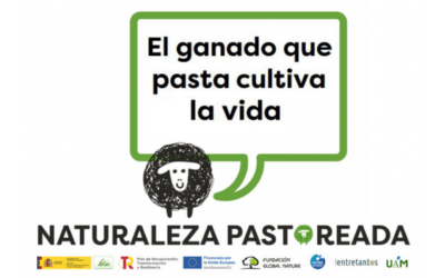 Naturaleza Pastoreada pone en valor el pastoreo en Espacios Naturales Protegidos: acciones del proyecto y el papel de la Fundación Entretantos