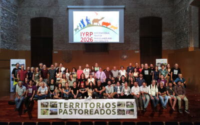 Ya está aquí, ¡Territorios Pastoreados 8!