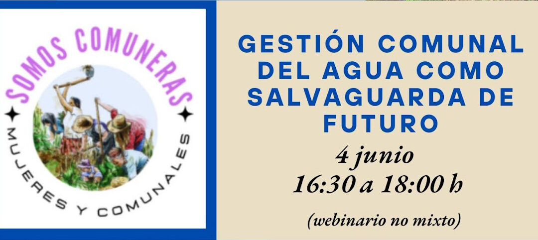 Webinario sobre la gestión comunal del agua como salvaguarda de futuro