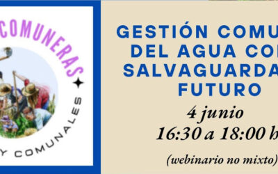 Webinario sobre la gestión comunal del agua como salvaguarda de futuro