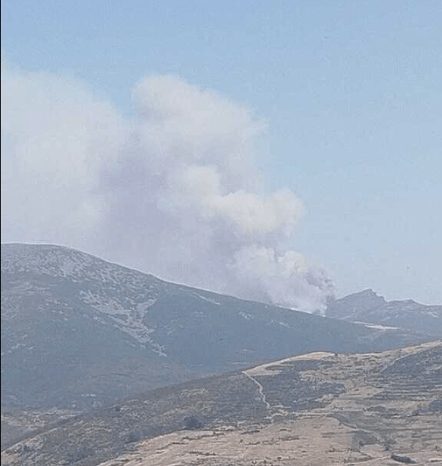 Toda nuestra solidaridad con las personas y territorios afectados por los incendios
