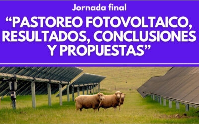 Te presentamos el programa para la jornada final del proyecto «Pastoreo Fotovoltaico» donde se expondrán resultados, conclusiones y propuestas a futuro