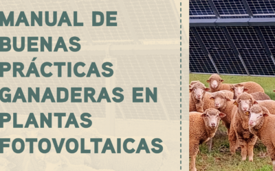 Ponemos a tu disposición el «Manual de buenas prácticas ganaderas en plantas fotovoltaicas»