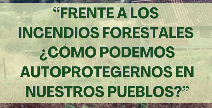 Os invitamos al webinario, «Frente a los Incendios Forestales ¿cómo podemos autoprotegernos en nuestros pueblos?»