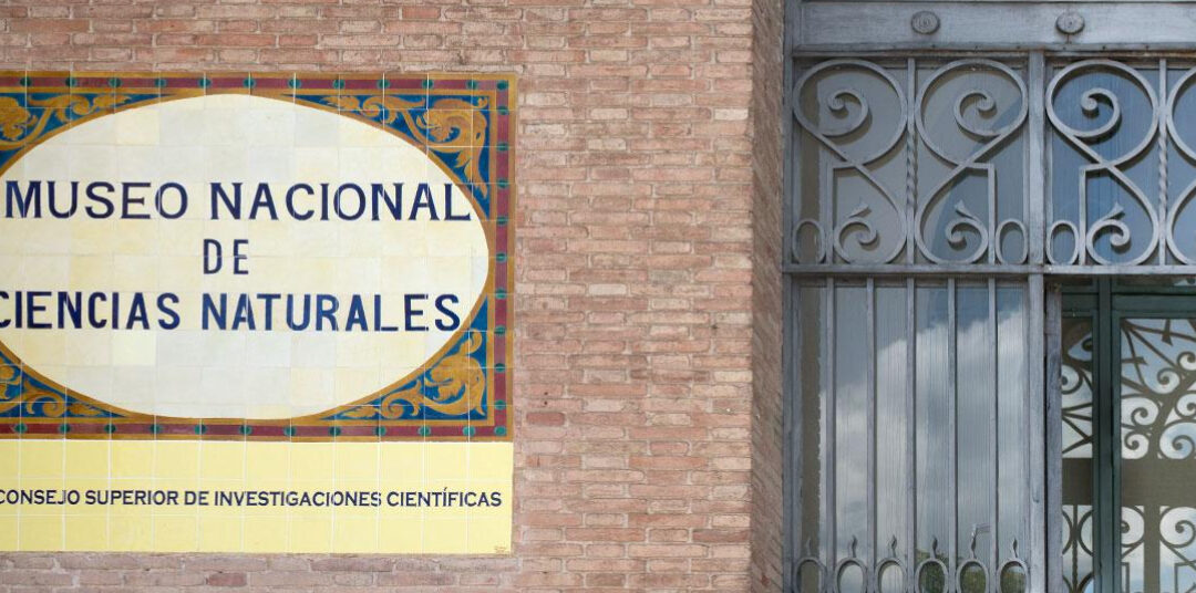 Llevamos a cabo la jornada «Synergy day» para el Instituto de Ciencias Forestales (INIA-CSIC) en el Museo de ciencias Naturales de Madrid