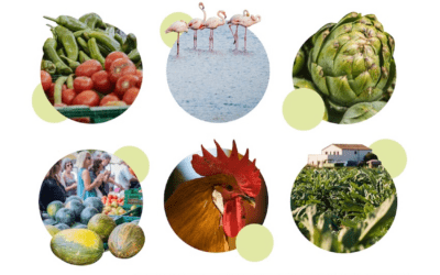 Abiertas las inscripciones para X Encuentro Anual de la Red de Municipios por la Agroecología que se celebrará en El Prat de Llobregat del 5 al 7 de noviembre de 2026